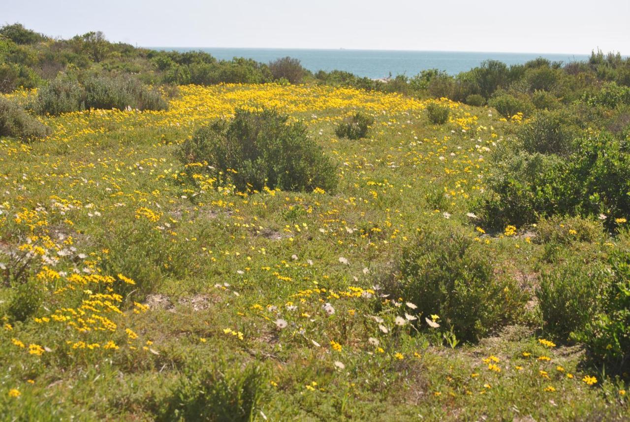 Stay At Bokkoms In Paternoster Self Catering Accommodation Экстерьер фото